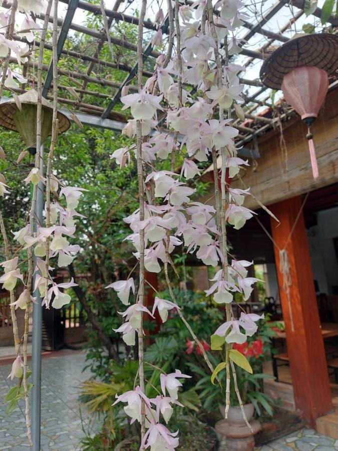 Trang An Family Homestay Ninh Bình Kültér fotó