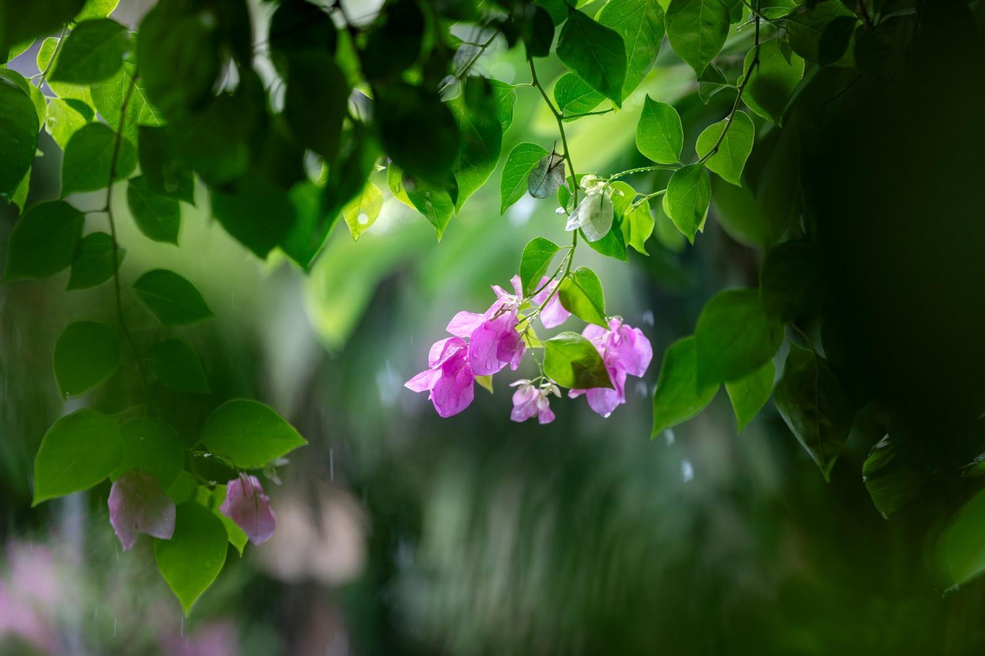Trang An Family Homestay Ninh Bình Kültér fotó